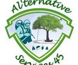 Al'ternative Services 45 image 1