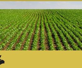 450398-Abonos-M-Garcia-banner2.jpg