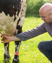 Le Gîte De La Ferme Du Tertre image 12
