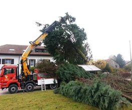 Presset Transports SA Bild 2