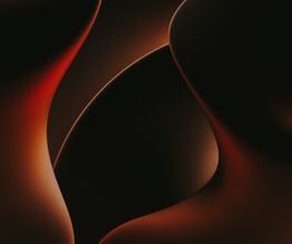 Tanzoase Sabine Saida Bild 3
