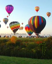 Teyssier Sophie image 1