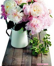 Maison NECTOUX Fleurs et nature image 20