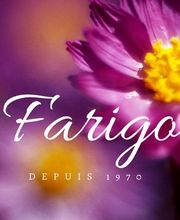 La Farigoule image 1