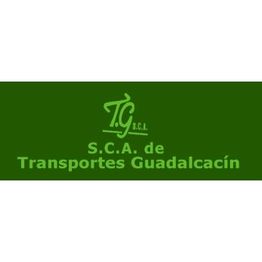 LOGOTRANSPORTESGUADALCACIN.JPG