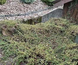 AS Schmidlin Bild 6