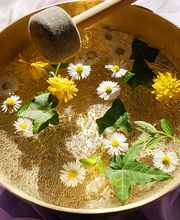 Klangpraxis Singing Bowls - Roswitha Raupp Bild 2