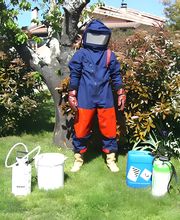 Stop Guêpes & Frelons image 11