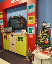 Orchestra CASTRES image 17