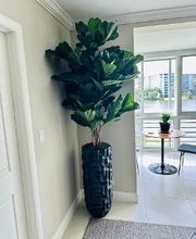 2 Lips Fort Lauderdale Florist & Flower Delivery image 8