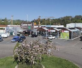 GAMM VERT image 3