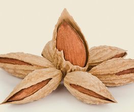 HOME-ALMENDRAS-LLOPIS-5.jpg
