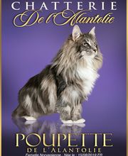 Chatterie de l'Alantolie image 7