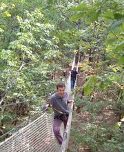 L' Appel de la Forêt image 1