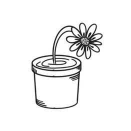 Café de Muurbloem