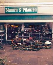 Rosche Carola - Fleurop-Partner Bild 7