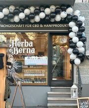 Herba di Berna AG, Fachgeschäft für CBD & Hanfprodukte Bild 5
