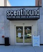 Scenthound Melrose image 1