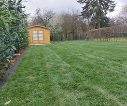 Rollrasen verlegen im Frühling inkl. Heckenpflanzung