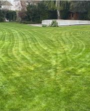 Gartenservice Mark Miess Bild 45