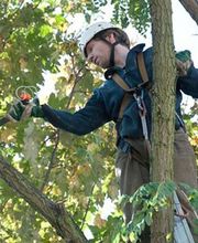 Bensa Gérard image 2