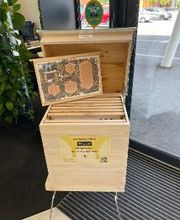 Opticien L'Isle-d'Abeau - Optic 2000 - Face au Mc Do image 13