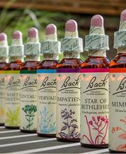 Leguay Johan image 6