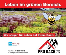 Dachbegrünung