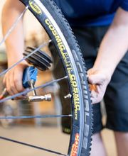 Stiftung Bächtelen Bild 1