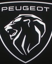 Garage Susten AG Bild 6