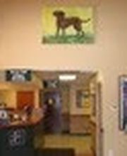 Parrett Veterinary Clinic image 12