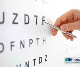 Optik Homann Bild 4