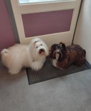 Tootsie image 3