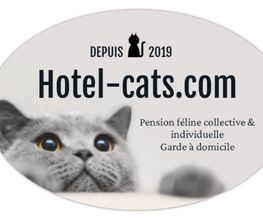 Hotel-cats.com image 11