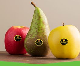 carmelo-beltran-frutas.png