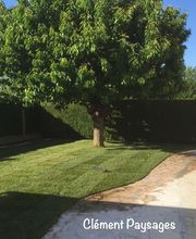 Clément Paysages image 15