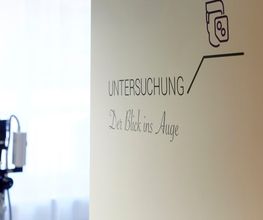 Dr. Petra Sulla Bild 6