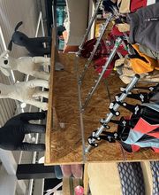 Tom&Co Chasse sur Rhône image 1