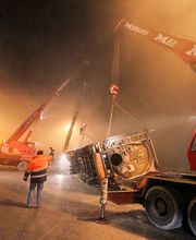 Gallery Professionale