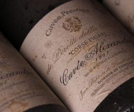 Domaine de Tanella image 14