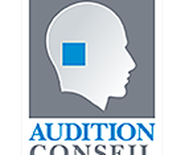 Audition Conseil image 1