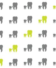 dr. med. dent. Merlo Paola Bild 4