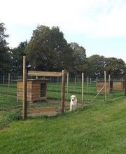 Pension du Haras du Breil image 1