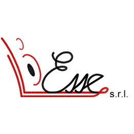 Esse S.r.l. logo