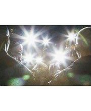 ESS-Event Security Service Bild 2