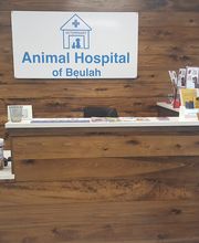Animal Hospital of Beulah image 3