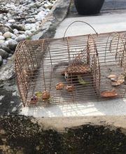 Anti'k Pyrénées image 1