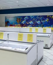 Gallery Professionale