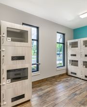 Pet Paradise Pooler image 3