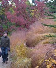 Pascal Olivier Architecte paysagiste conseils Bild 6